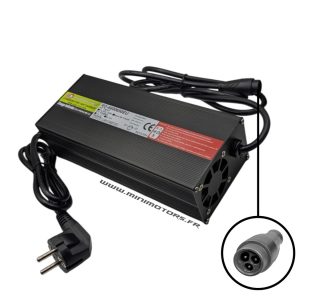 Cargador rapido Dualtron